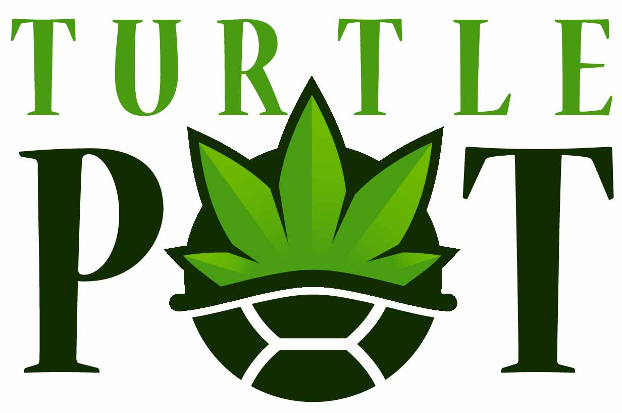 TurtlePot
